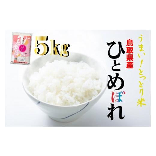 ふるさと納税 鳥取県 倉吉市 鳥取県産ひとめぼれ(5kg)令和5年産 新米 お米 米 こめ コメ 白米 ひとめぼれ