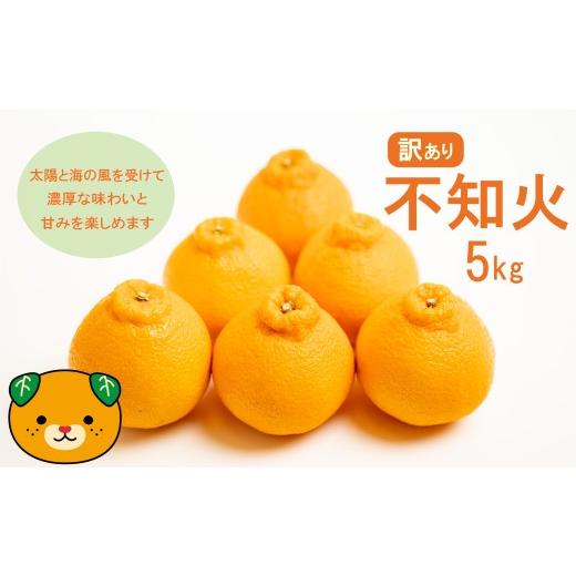 ふるさと納税 みかん・柑橘類 デコポン 愛媛県 愛南町 先行予約 訳あり 減農薬 不知火 5kg 10000円 サイズミックス サイズ混合 不揃い 柑橘 かんきつ 蜜柑 愛…