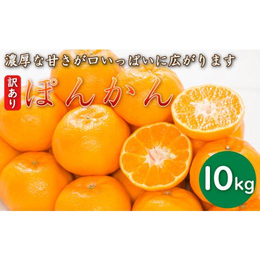 ふるさと納税 みかん・柑橘類 愛媛県 愛南町 先行予約 訳あり 減農薬 ポンカン 10kg 13000円 サイズミックス サイズ混合 不揃い 傷 新鮮 蜜柑 愛媛 みかん 産…