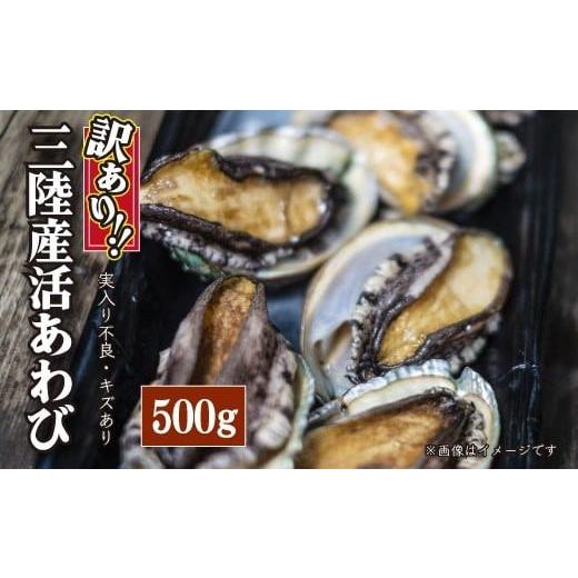 ふるさと納税 岩手県 大槌町 ※訳あり※ 三陸産 活アワビ 約500g ( 3〜5個)[数量限定]|11月〜12月発送 冷蔵 三陸 岩手県 大槌町 あわび 人気 鮑 いわて iwa…