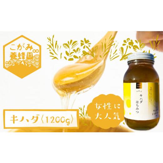 ふるさと納税 加工品等 はちみつ 岐阜県 飛騨市 キハダ 蜂蜜 1200g はちみつ ハチミツ 国産 非加熱の画像