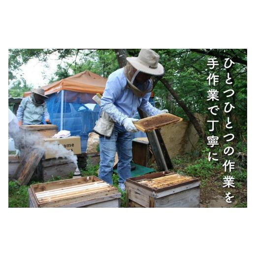 【50％OFF】 ふるさと納税 新潟県 南魚沼市 さいき養蜂園　天然ピュア蜂蜜　３００ｇ２種お楽しみセット