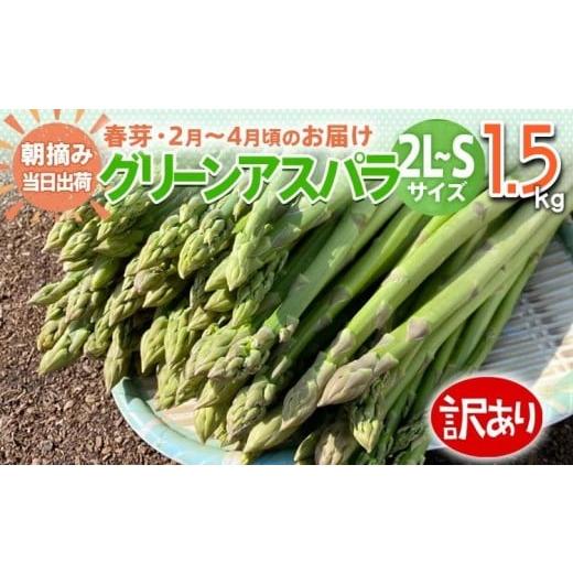 ふるさと納税 福岡県 大木町 数量限定 訳あり 規格外 アスパラ 2L〜Sサイズ 1.5kg 朝採り 直送 春芽 グリーンアスパラガス 朝採れ 先行予約 [2025年2月から4…