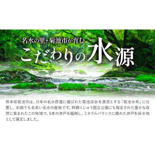 ふるさと納税 水・ミネラルウォーター 500mL〜999mL 熊本県 菊池市 浸みわたる水素水 30本(15L) 内容量 1本500ml 《30日以内に出荷予定(土日祝除く)》水 水素…の画像