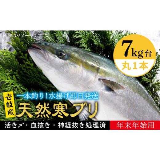 ふるさと納税 旬の鮮魚等 長崎県 壱岐市 11/1〜1/15お届け 年末年始用 天然 寒ブリ(7キロ台・丸もの) [壱岐市] 壱岐島 玄海屋 JBS016 ぶり 寒ぶり ブ…