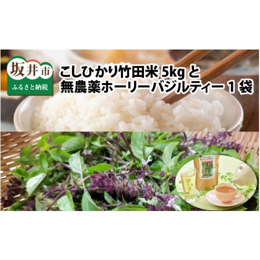 ふるさと納税 米 コシヒカリ 福井県 坂井市 先行予約・令和8年産新米 福井県産 清流こしひかり 竹田米 5kg と 竹田産無農薬ホーリーバジルティー(白米) 202…