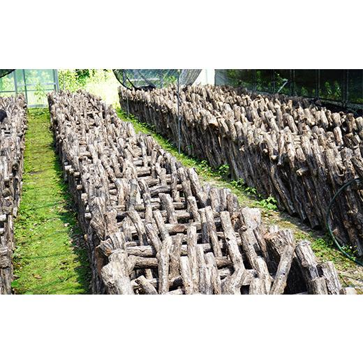 ふるさと納税 野菜類 きのこ 岩手県 山田町 勝山さんの乾燥椎茸400g（ミックスサイズ）岩手県山田町 三陸山田 岩手三陸産 椎茸 原木 野菜 きのこ YD-848_4