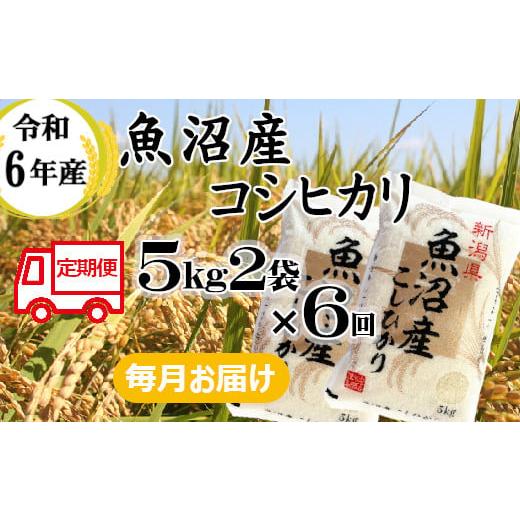 ふるさと納税 新潟県 小千谷市 r05-117-3BE 令和5年産 魚沼産コシヒカリ 定期便 5kg2袋×6回[毎月お届け](小千谷米穀)白米 魚沼 米 定期便