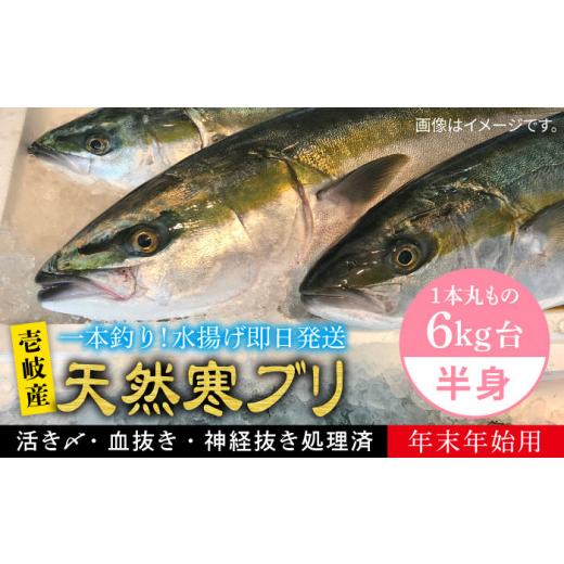 ふるさと納税 旬の鮮魚等 長崎県 壱岐市  11／1〜1／15お届け 年末年始用 生まれながら 寒ブリ（一本丸もの大きさ6キログラム台の半身立ちはだかる） 《壱岐市》 壱岐島 玄海屋 …