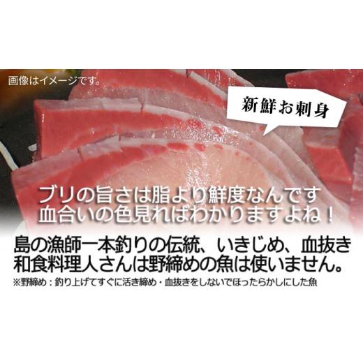 ふるさと納税 旬の鮮魚等 長崎県 壱岐市  11／1〜1／15お届け 年末年始用 生まれながら 寒ブリ（一本丸もの大きさ6キログラム台の半身立ちはだかる） 《壱岐市》 壱岐島 玄海屋 …