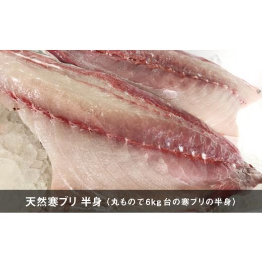 ふるさと納税 旬の鮮魚等 長崎県 壱岐市  11／1〜1／15お届け 年末年始用 生まれながら 寒ブリ（一本丸もの大きさ6キログラム台の半身立ちはだかる） 《壱岐市》 壱岐島 玄海屋 …