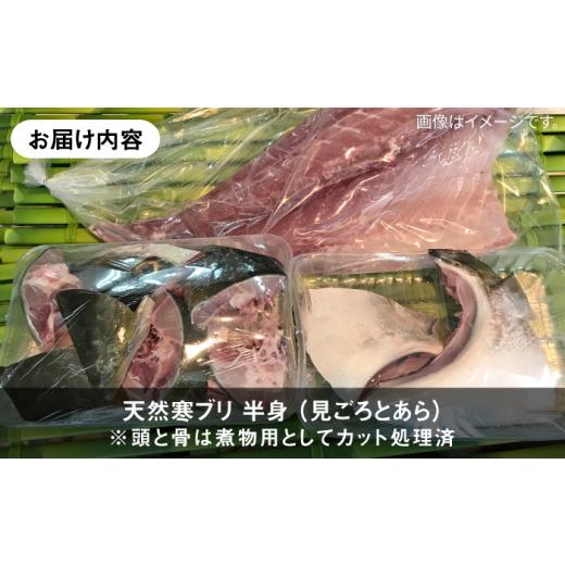 ふるさと納税 旬の鮮魚等 長崎県 壱岐市  11／1〜1／15お届け 年末年始用 生まれながら 寒ブリ（一本丸もの大きさ6キログラム台の半身立ちはだかる） 《壱岐市》 壱岐島 玄海屋 …