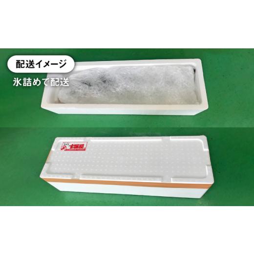 ふるさと納税 旬の鮮魚等 長崎県 壱岐市  11／1〜1／15お届け 年末年始用 生まれながら 寒ブリ（一本丸もの大きさ6キログラム台の半身立ちはだかる） 《壱岐市》 壱岐島 玄海屋 …