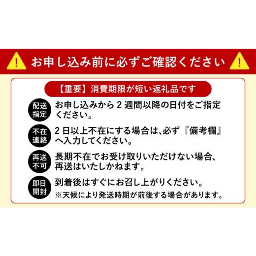ふるさと納税 旬の鮮魚等 長崎県 壱岐市  11／1〜1／15お届け 年末年始用 生まれながら 寒ブリ（一本丸もの大きさ6キログラム台の半身立ちはだかる） 《壱岐市》 壱岐島 玄海屋 …
