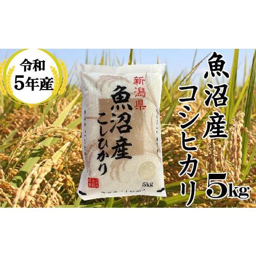 ふるさと納税 新潟県 小千谷市 r05-11-3BE 令和5年産 魚沼産コシヒカリ5kg(小千谷米穀)白米 魚沼 米