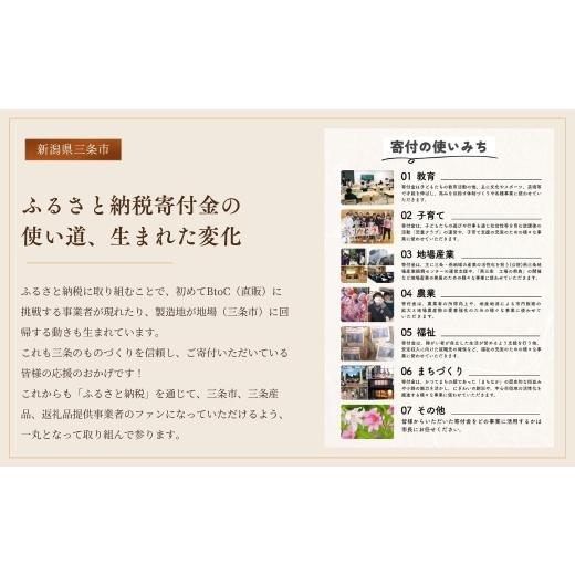 ふるさと納税 アウトドアグッズ テント・タープ 新潟県 三条市 ペグ エリッゼステーク 28cm×8本セット 鍛造ペグ 黒 ペグ 燕三条製ペグ ぺぐ キャンプ用品 ア… |  | 09