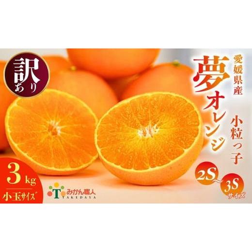 ふるさと納税 みかん・柑橘類 オレンジ 愛媛県 愛南町 訳あり みかん職人の夢オレンジ 小粒っ子 3kg 先行予約 柑橘 果物 フルーツ 愛媛 みかん職人武田屋 蜜…