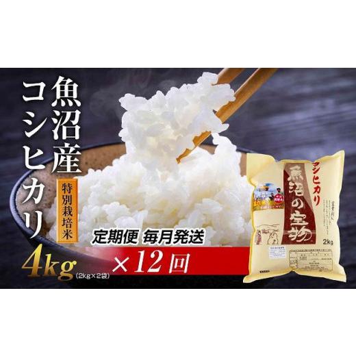 美品 ふるさと納税 新潟県 十日町市 【定期便 毎月発送 12回】魚沼産 コシヒカリ 4kg 特別栽培米 魚沼の宝物 嘉六 農家のこだわり 新潟県 十日町市 こしひかり お米… 【S1433766730】(50500円)