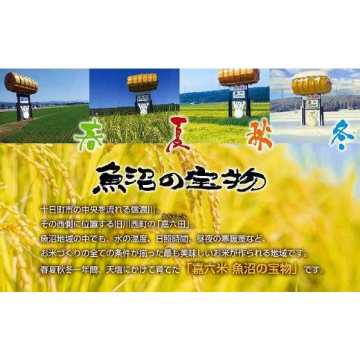 美品 ふるさと納税 新潟県 十日町市 【定期便 毎月発送 12回】魚沼産 コシヒカリ 4kg 特別栽培米 魚沼の宝物 嘉六 農家のこだわり 新潟県 十日町市 こしひかり お米… 【S1433766730】(50500円)