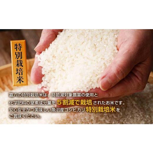 美品 ふるさと納税 新潟県 十日町市 【定期便 毎月発送 12回】魚沼産 コシヒカリ 4kg 特別栽培米 魚沼の宝物 嘉六 農家のこだわり 新潟県 十日町市 こしひかり お米… 【S1433766730】(50500円)