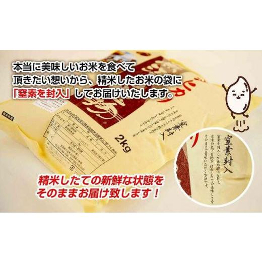 美品 ふるさと納税 新潟県 十日町市 【定期便 毎月発送 12回】魚沼産 コシヒカリ 4kg 特別栽培米 魚沼の宝物 嘉六 農家のこだわり 新潟県 十日町市 こしひかり お米… 【S1433766730】(50500円)