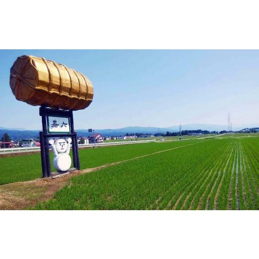 美品 ふるさと納税 新潟県 十日町市 【定期便 毎月発送 12回】魚沼産 コシヒカリ 4kg 特別栽培米 魚沼の宝物 嘉六 農家のこだわり 新潟県 十日町市 こしひかり お米… 【S1433766730】(50500円)