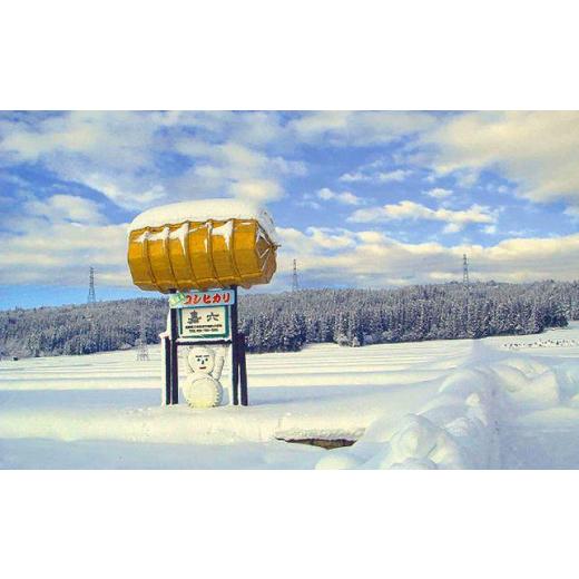 美品 ふるさと納税 新潟県 十日町市 【定期便 毎月発送 12回】魚沼産 コシヒカリ 4kg 特別栽培米 魚沼の宝物 嘉六 農家のこだわり 新潟県 十日町市 こしひかり お米… 【S1433766730】(50500円)