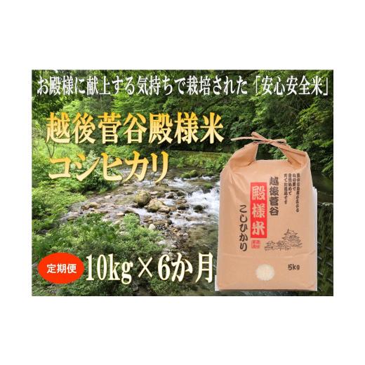 【２点セット】 ふるさと納税 新潟県 新発田市 D17　【令和５年産】（定期便）越後菅谷殿様米（10kg×６ヵ月）　【 新潟県 新潟産 新発田産 米 コシヒカリ 特別栽培米 越後菅… 【RIZ3497821468】(123200円)