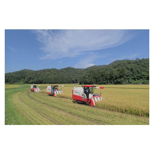 【２点セット】 ふるさと納税 新潟県 新発田市 D17　【令和５年産】（定期便）越後菅谷殿様米（10kg×６ヵ月）　【 新潟県 新潟産 新発田産 米 コシヒカリ 特別栽培米 越後菅… 【RIZ3497821468】(123200円)