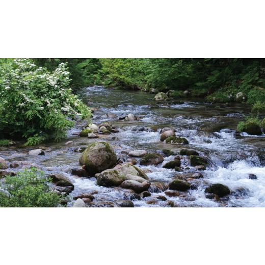 【２点セット】 ふるさと納税 新潟県 新発田市 D17　【令和５年産】（定期便）越後菅谷殿様米（10kg×６ヵ月）　【 新潟県 新潟産 新発田産 米 コシヒカリ 特別栽培米 越後菅… 【RIZ3497821468】(123200円)