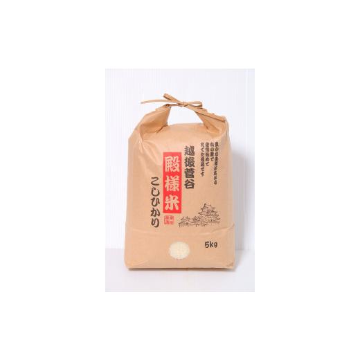 【２点セット】 ふるさと納税 新潟県 新発田市 D17　【令和５年産】（定期便）越後菅谷殿様米（10kg×６ヵ月）　【 新潟県 新潟産 新発田産 米 コシヒカリ 特別栽培米 越後菅… 【RIZ3497821468】(123200円)