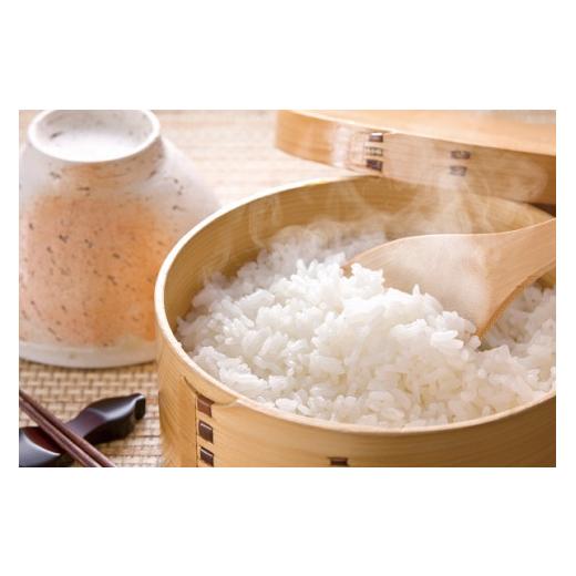 【２点セット】 ふるさと納税 新潟県 新発田市 D17　【令和５年産】（定期便）越後菅谷殿様米（10kg×６ヵ月）　【 新潟県 新潟産 新発田産 米 コシヒカリ 特別栽培米 越後菅… 【RIZ3497821468】(123200円)