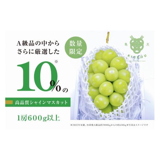 ふるさと納税 ぶどう マスカット 山梨県 甲州市 数量限定 粒が詰まった高級シャインマスカット「亀光」1房600g以上 2026年発送 (RO)B-156 亀光 シャインマ…