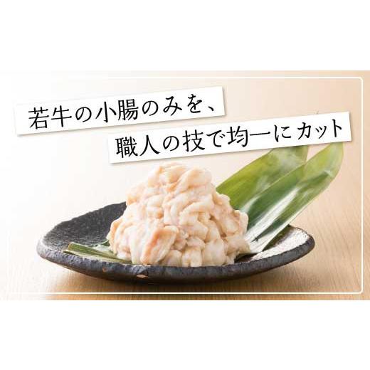 ふるさと納税 モツ鍋 福岡県 宇美町 もつ鍋 おおやま 福岡 博多 未醤 2人前 博多もつ鍋おおやま 福岡県 宇美町 um40azo940000 もつ もつ鍋ふるさと納税 もつな…