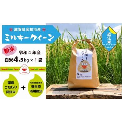 ふるさと納税 滋賀県 彦根市 [令和5年産・白米]近江米5kg「ミルキークイーン」精米後約4.5kg×1