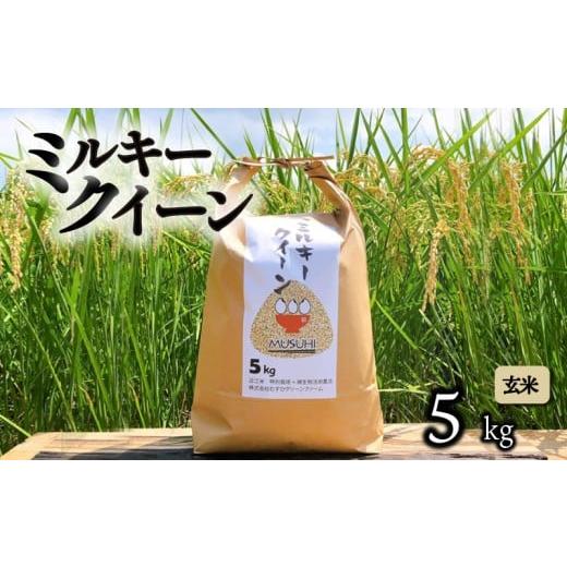 ふるさと納税 米 ミルキークイーン 滋賀県 彦根市 令和7年産先行受付 ミルキークイーン 5kg 玄米 令和7年産 新米 米 こめ コメ お米 ご飯 ミルキークイーン …