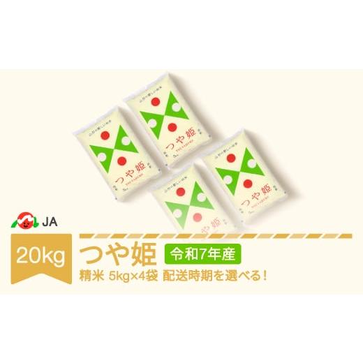 ふるさと納税 米 つや姫 山形県 村山市 20kg 5kg×4 精米 令和7年産