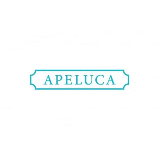 ふるさと納税 アウトドアグッズ 新潟県 三条市 APELUCA 卓上燻製器 TABLETOP SMOKER キャンプ用品 アウトドア用品 燕三条製 026P001_8