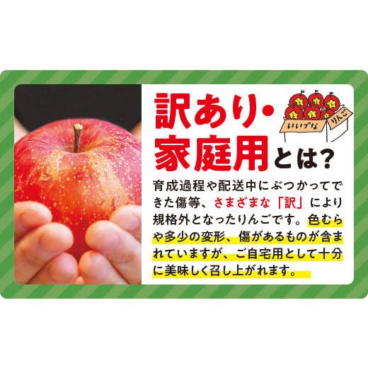 ふるさと納税 りんご 長野県 飯綱町  感謝りんご ／ 光センサー選別品 りんご シナノゴールド 訳あり 5kg （ 12玉 〜 25玉 ） 交換保証 ながの農業協同組合 沖&hellip;