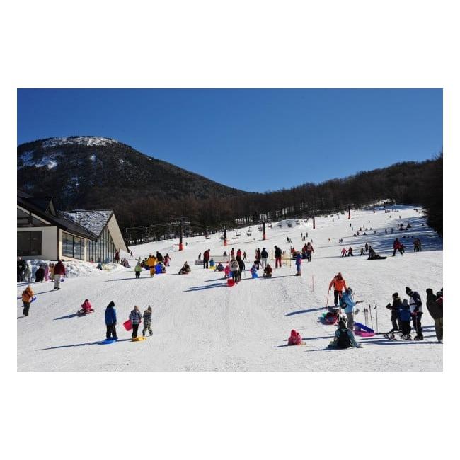 【公式】 ふるさと納税 長野県 東御市 【早割】湯の丸スキー場　小学生シーズン券◇リフト券2023-24シーズン 【QG8233506205】(29000円)