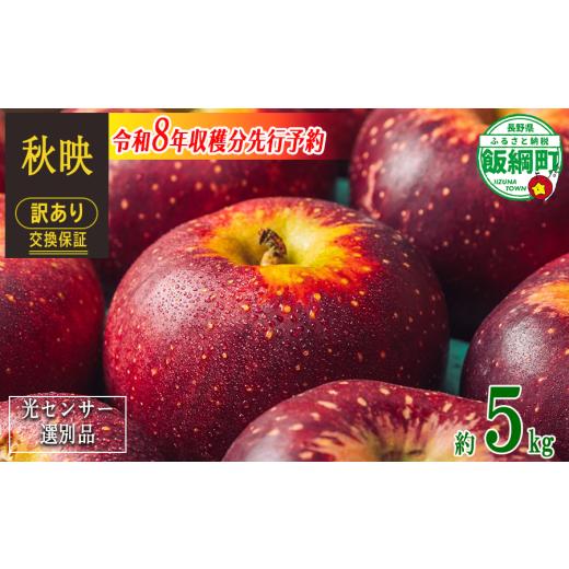 ふるさと納税 りんご 長野県 飯綱町 感謝りんご / 光センサー選別品 りんご 秋映 訳あり 5kg ( 12玉 〜 25玉 ) 交換保証 ながの農業協同組合 2026年10月上…