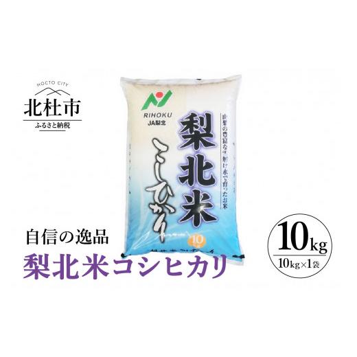 山梨県産 梨北米 10キロ