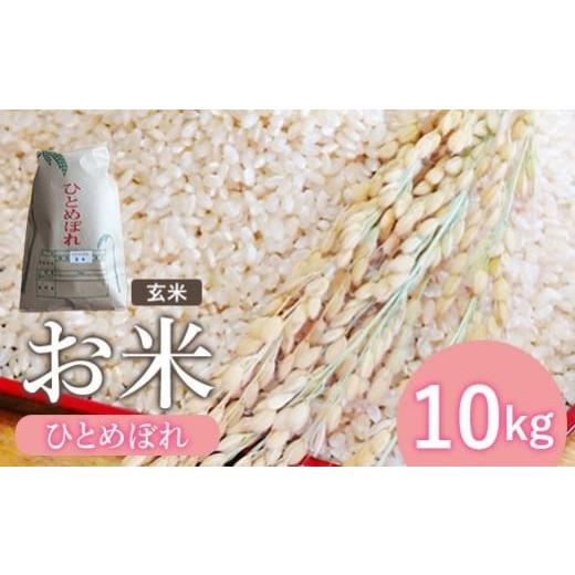 ふるさと納税 玄米 宮城県 白石市 新米『令和7産』お米 ひとめぼれ 玄米 10Kg | お米 ひとめぼれ ごはん 国産 宮城米 東北米 ふるさと納税 宮城県 白石市 木須…