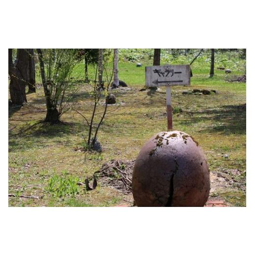 ふるさと納税 雑貨・日用品 インテリア 北海道 美瑛町 皆空窯 粘土作品制作体験(2名分) 045-09_5