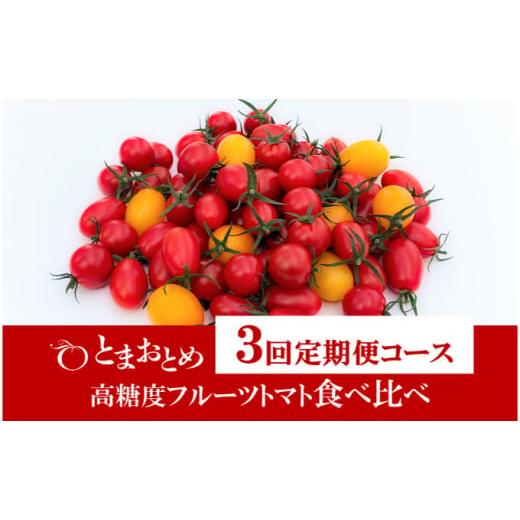 ふるさと納税 野菜類 トマト 栃木県 鹿沼市 定期便 3回 栃木県 鹿沼産 高糖度 フルーツトマト "とまおとめ" 食べ比べ 1kg×3回 トマト カキヌマファーム ア…