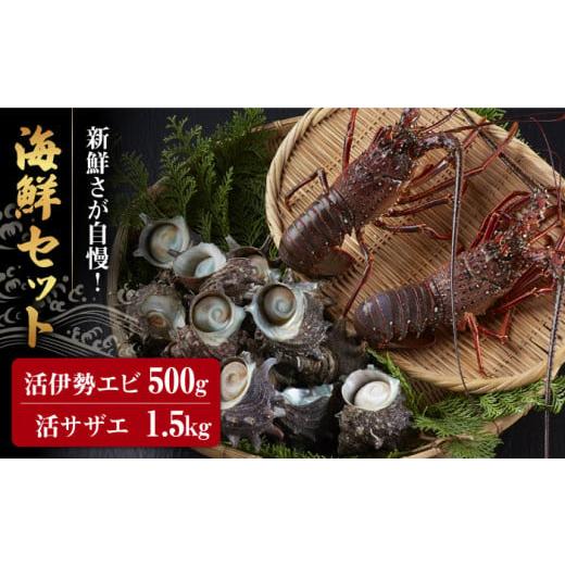 ふるさと納税 長崎県 長崎市 活伊勢海老（イセエビ）0.5kg・活サザエ1.5kg えび 贈答 ギフト＜野母崎三和漁業協同組合 活魚流通センター＞ [LEL003] 5kg