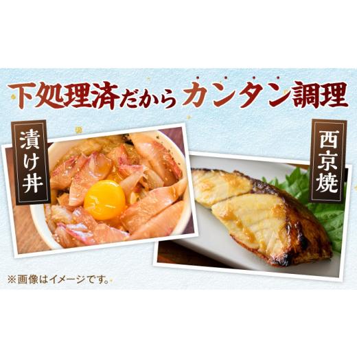 ふるさと納税 長崎県 平戸市 【一度食べるとやみつきに！最高のお魚をご用意しました】ヒラマサ（半身） 平戸なつ香 ヒラス 約1kg 平戸市 ／ 坂野水産 [KAA207…｜furusatochoice｜07