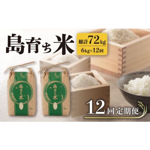 ふるさと納税 長崎県 平戸市 [全12回定期便]島育ち 米 定期便 総計72kg(6kg×12回) 平戸市 / 平戸瀬戸市場協同組合 