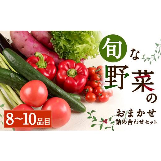 ふるさと納税 熊本県 合志市 旬な野菜 おまかせ 詰め合わせ セット 8〜10品目