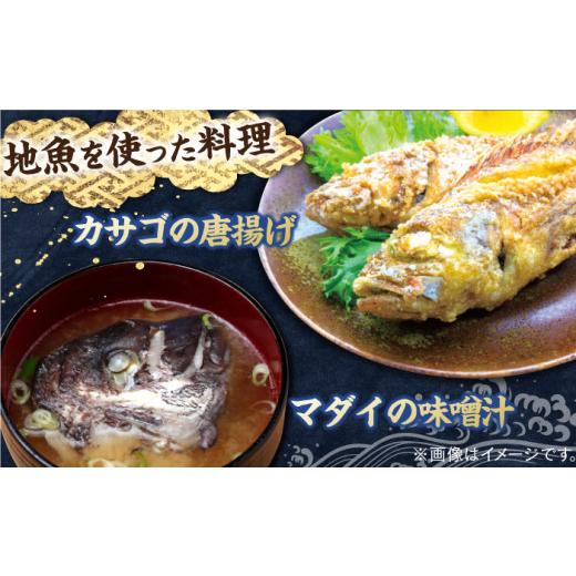 ふるさと納税 長崎県 平戸市 【平戸市場直送】旬の獲れたて鮮魚（冷凍）＜4〜5種類＞ 平戸市 ／ ひらど新鮮市場 [KAB007]｜furusatochoice｜05